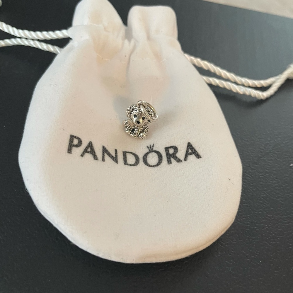 Pandora charm